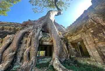 Angkor Siem Reap Travel Tours